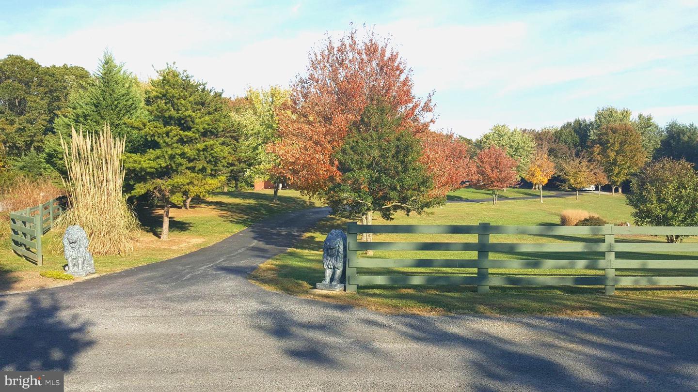 414 Devils Backbone Olook Property Photo 55