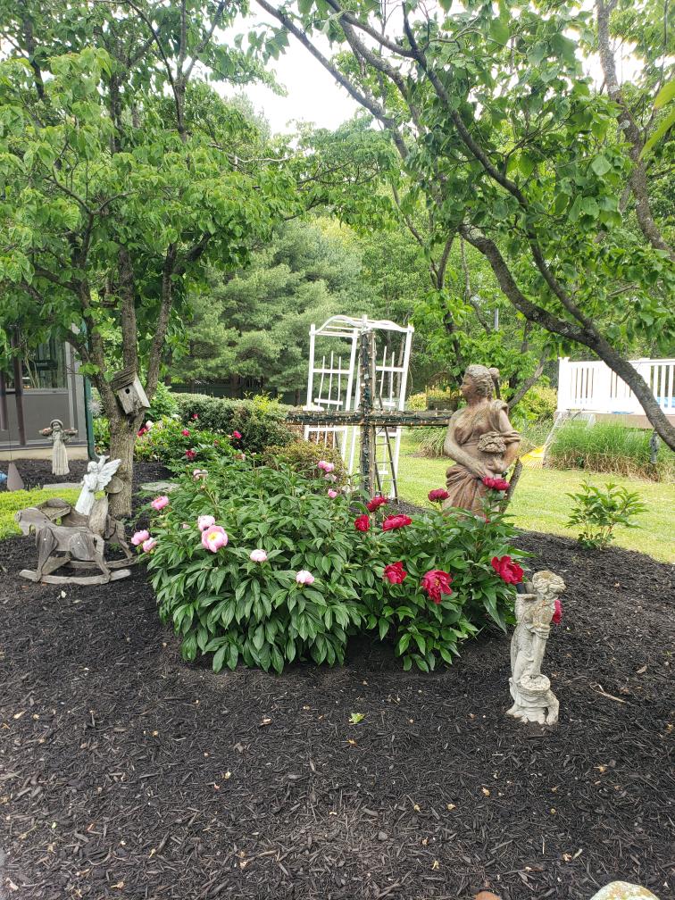 414 Devils Backbone Olook Property Photo 57