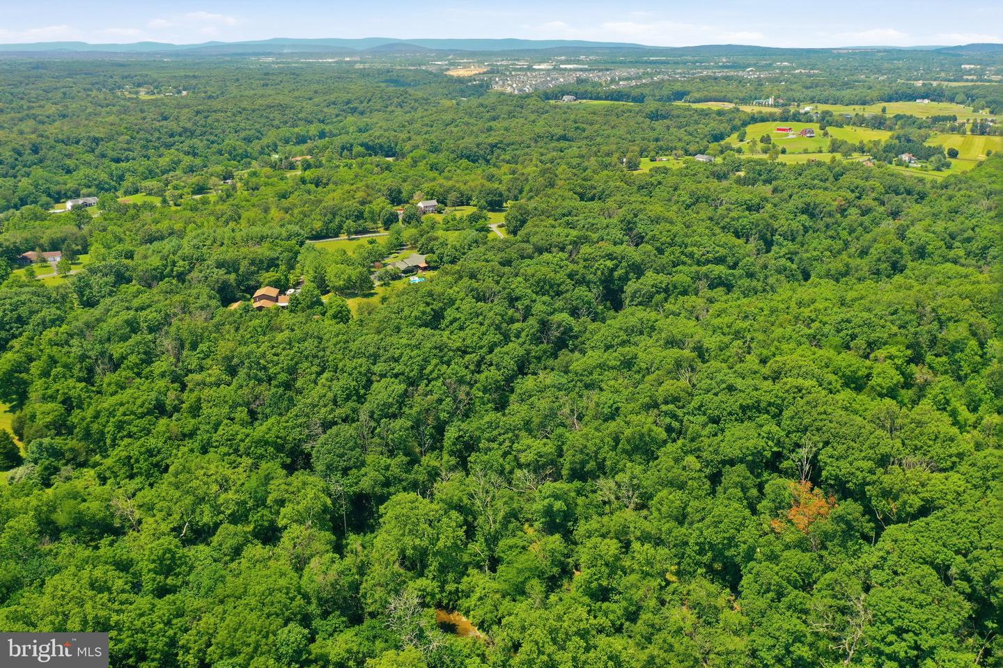 414 Devils Backbone Olook Property Photo 69