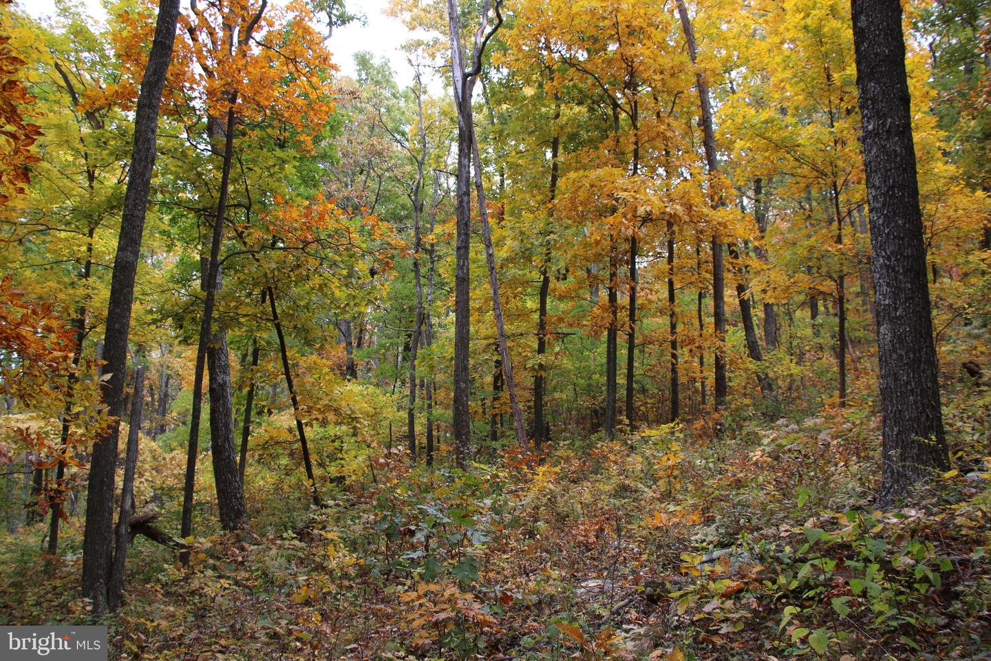 Moorehead Rd Property Photo 3