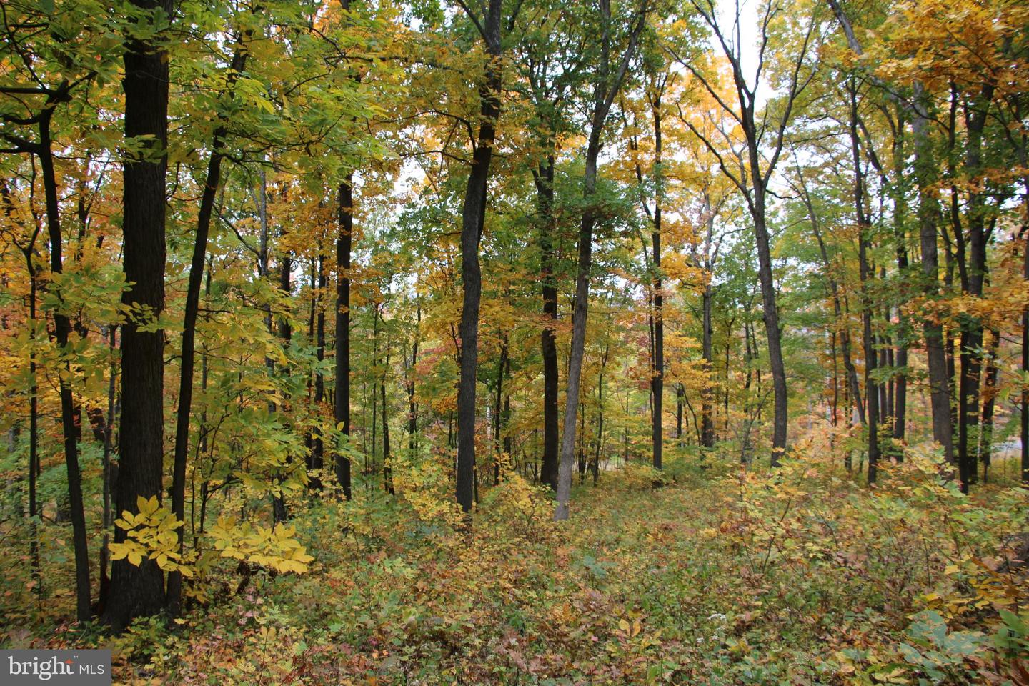 Moorehead Rd Property Photo 8