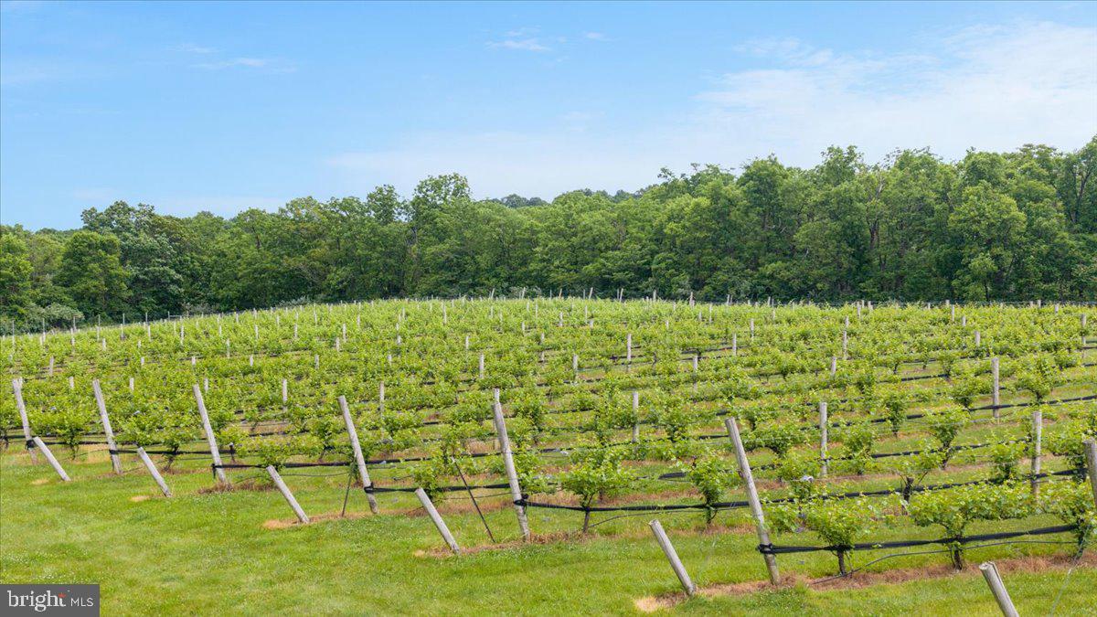 450 Green Spring Rd Property Photo 57