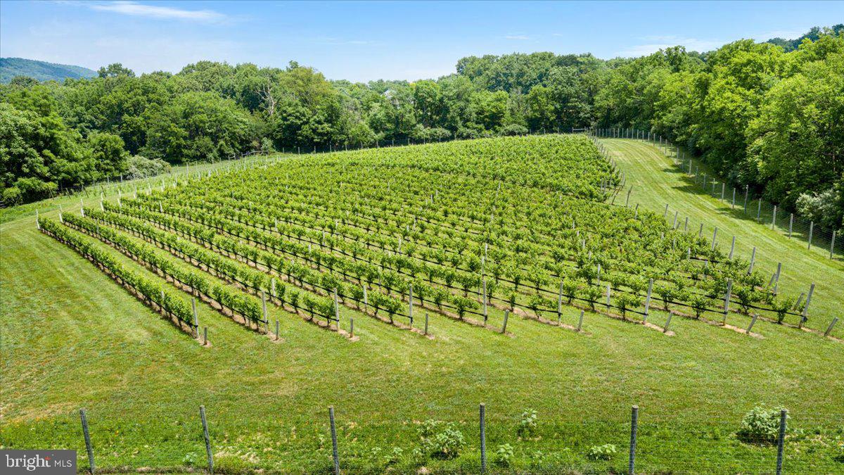 450 Green Spring Rd Property Photo 59