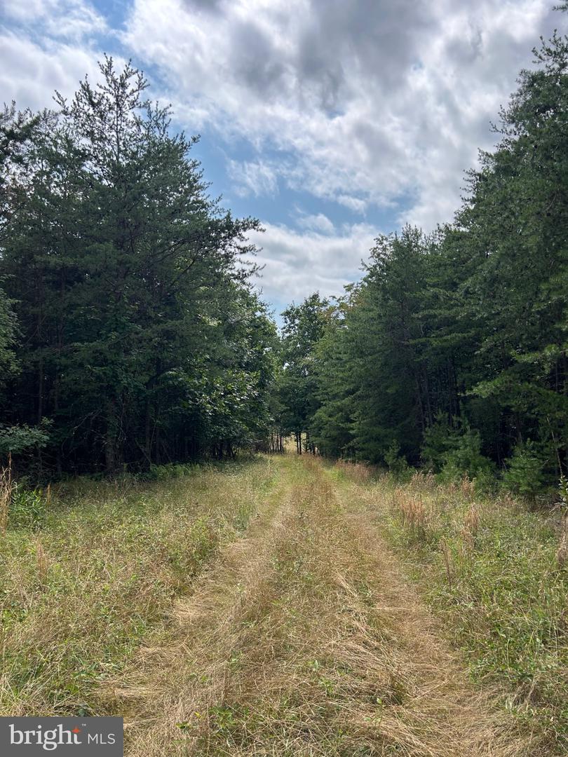 Brush Creek Rd Property Photo 2