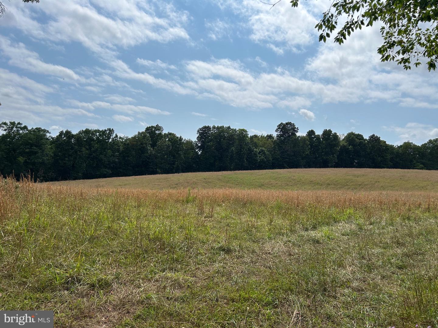 Brush Creek Rd Property Photo 3