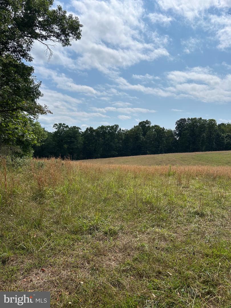 Brush Creek Rd Property Photo 4