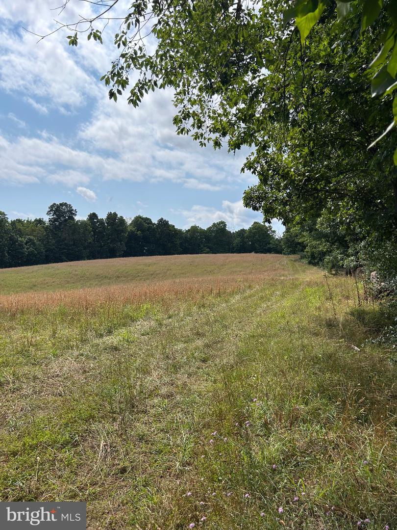 Brush Creek Rd Property Photo 5
