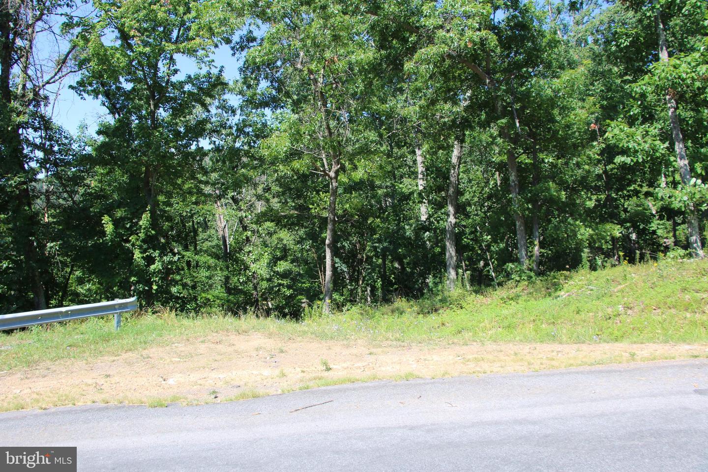 WOLF SPRING TRL