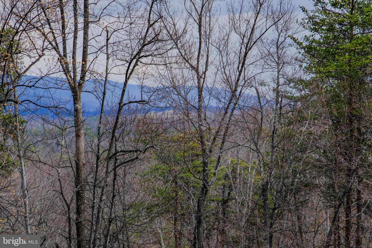 642 Paddys Run Rd Property Photo 2