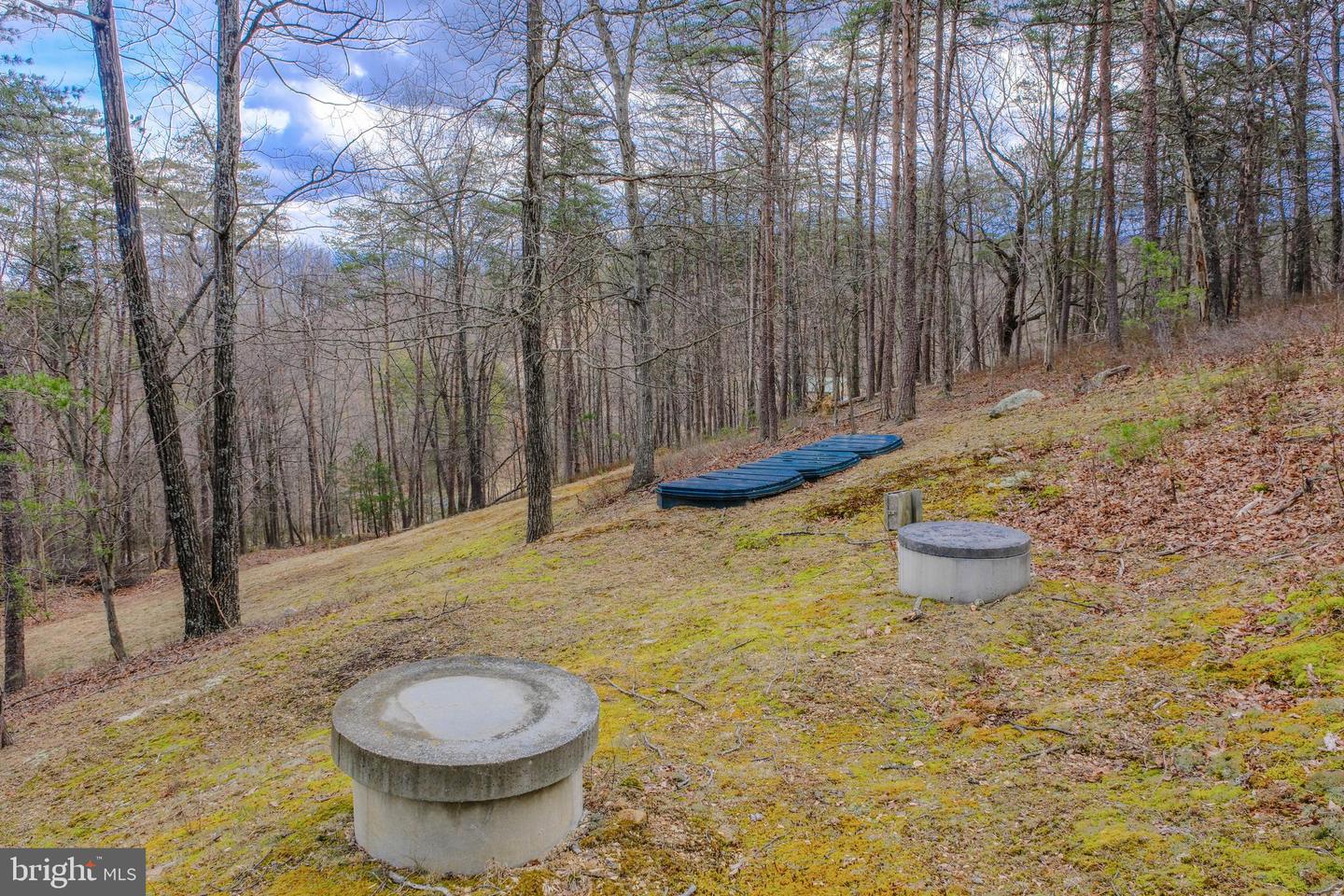 642 Paddys Run Rd Property Photo 7