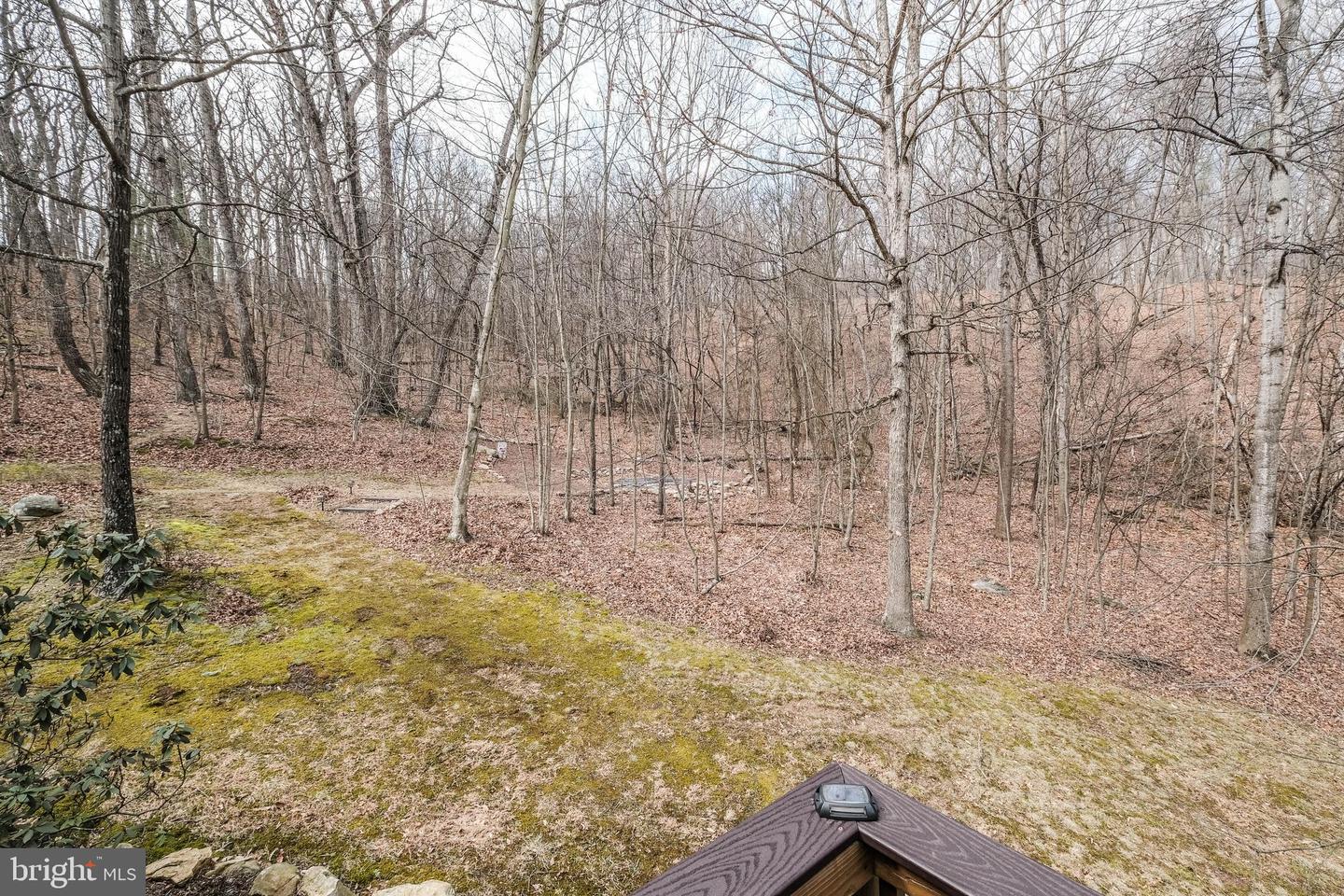 642 Paddys Run Rd Property Photo 13