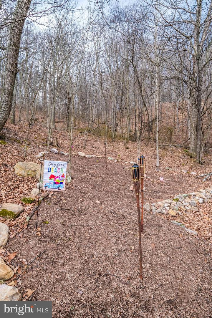 642 Paddys Run Rd Property Photo 15