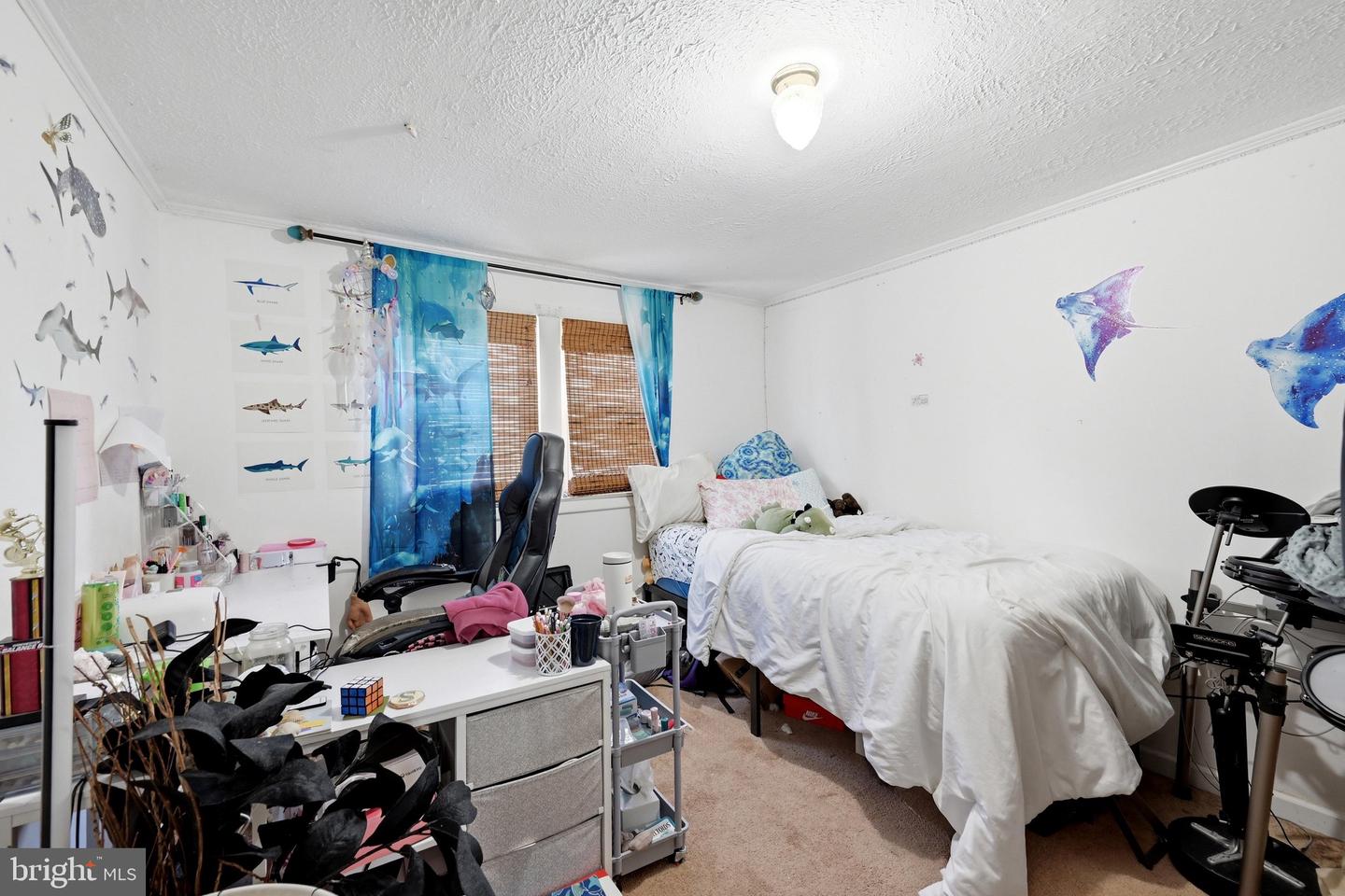 437 Property Photo 14