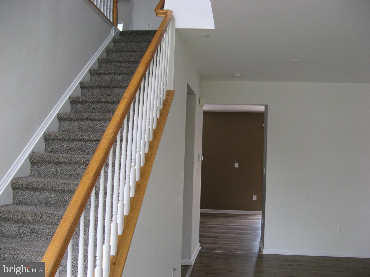 308 London Downs Cir Property Photo 8