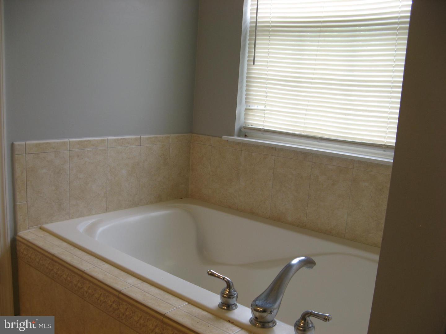 308 London Downs Cir Property Photo 16