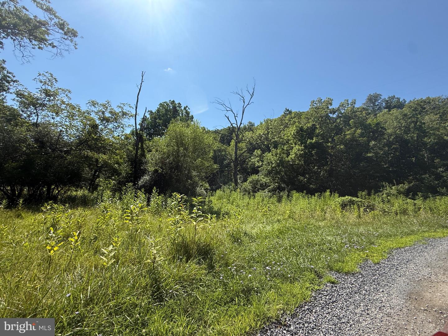 Tbd Forgotten Ln Property Photo 13
