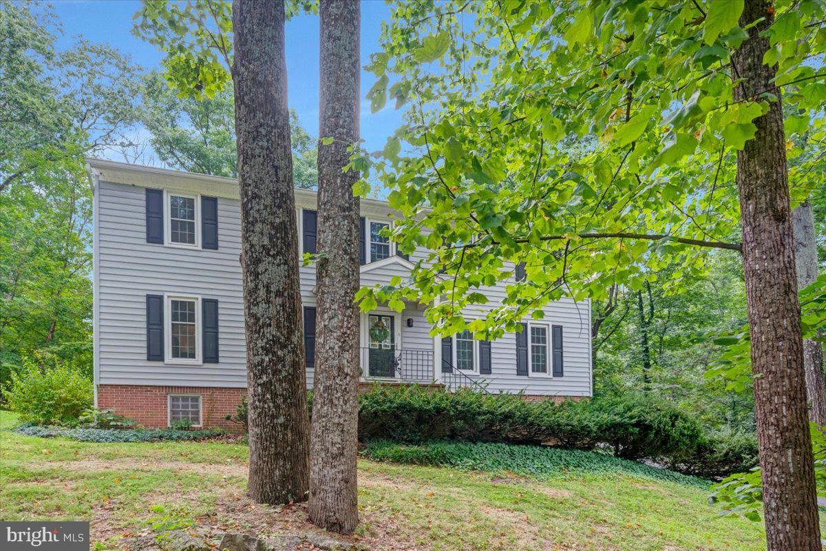 158 Old Forest Cir Property Photo 6