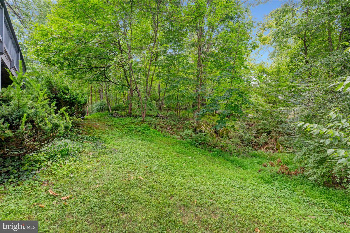 158 Old Forest Cir Property Photo 46