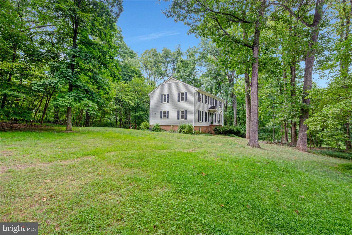 158 Old Forest Cir Property Photo 49