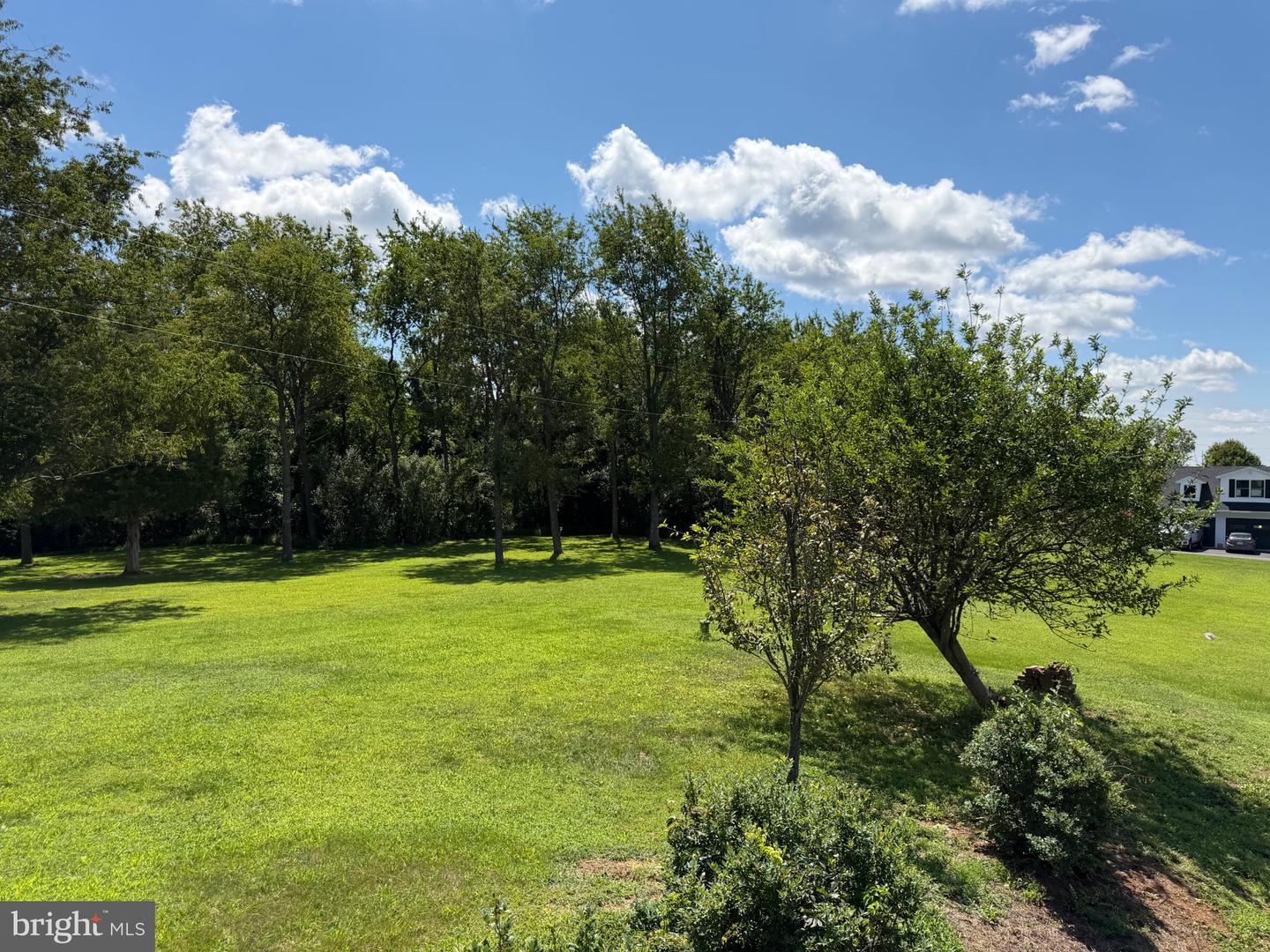 3150 Apple Pie Ridge Rd Property Photo 21