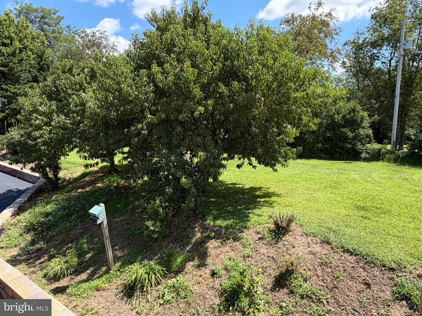 3150 Apple Pie Ridge Rd Property Photo 23