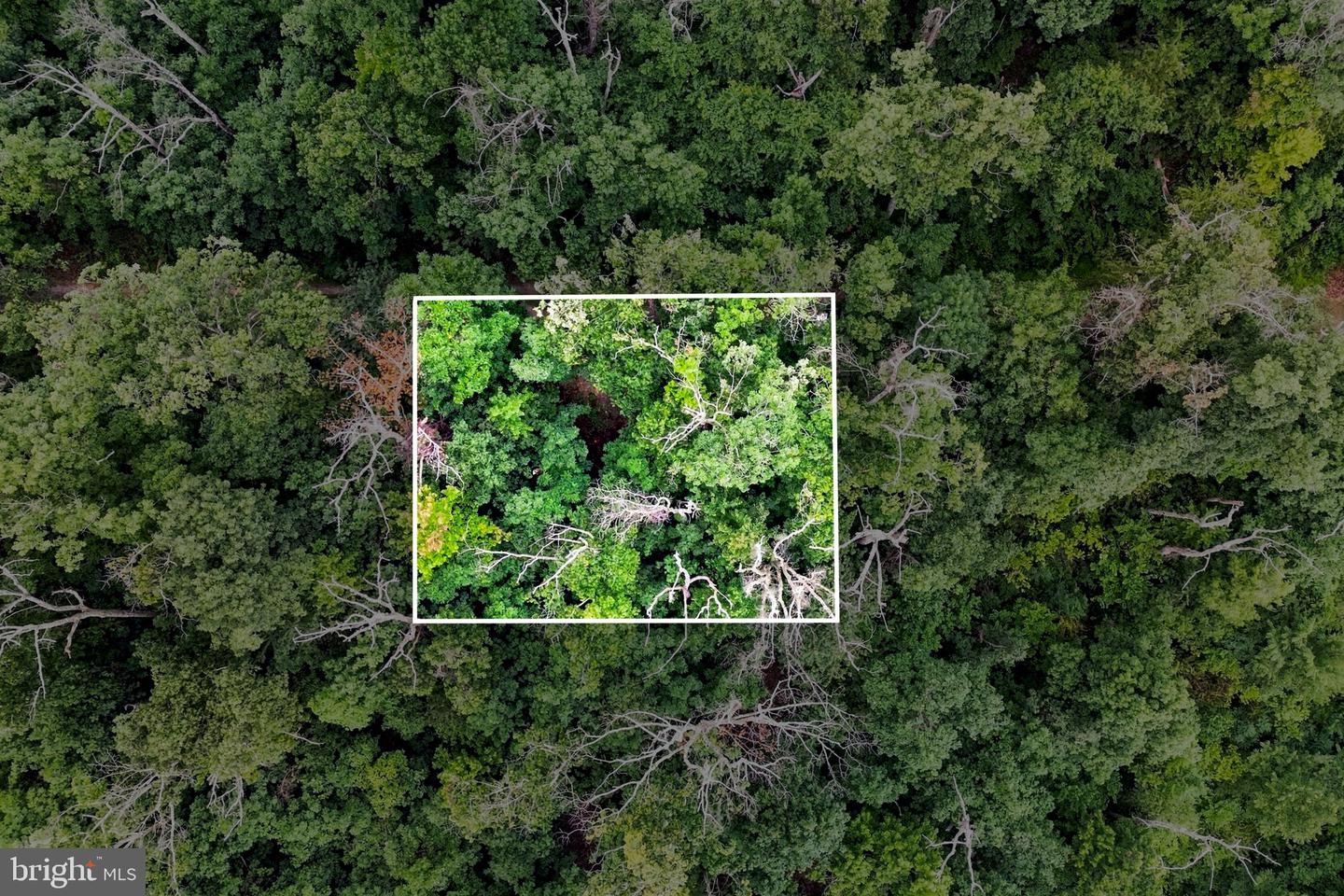 Lot 4 Saltlick Trail Property Photo 4