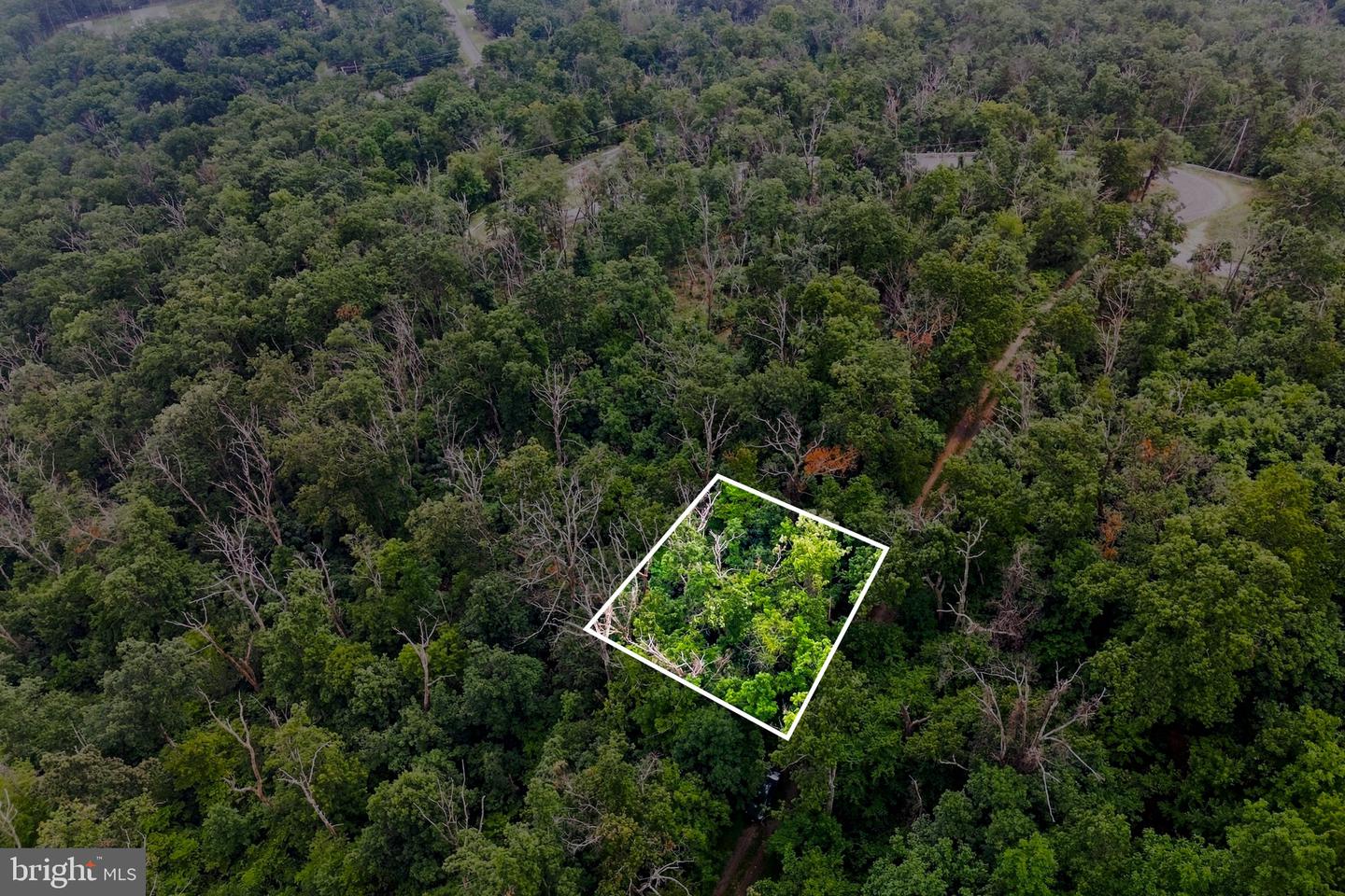 Lot 4 Saltlick Trail Property Photo 5