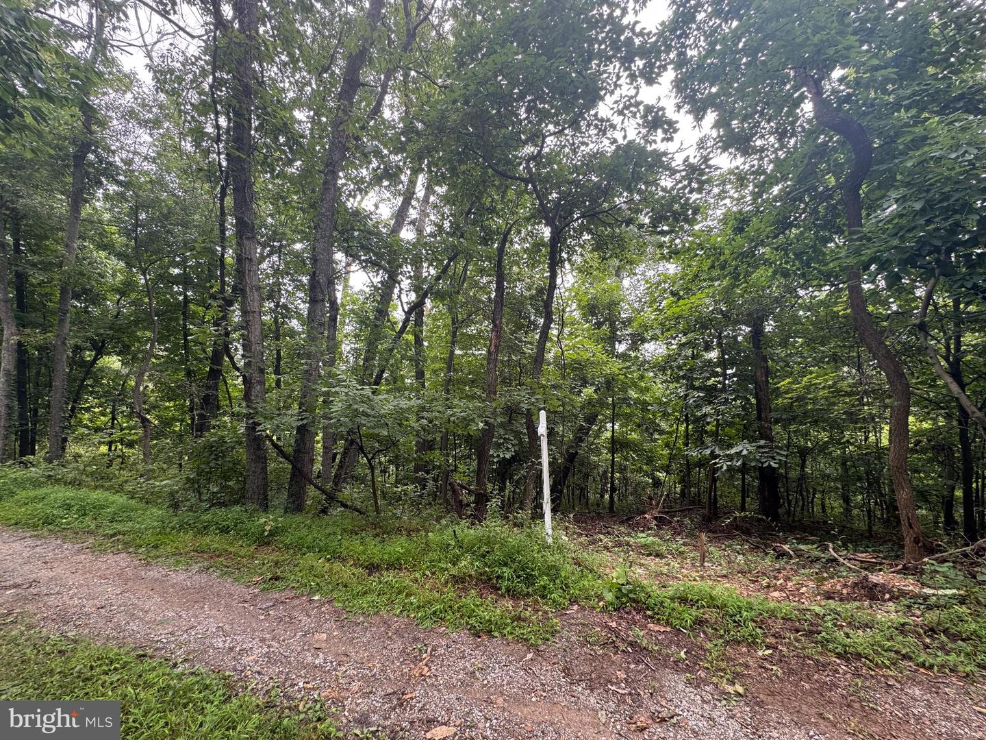 Lot 4 Saltlick Trail Property Photo 8