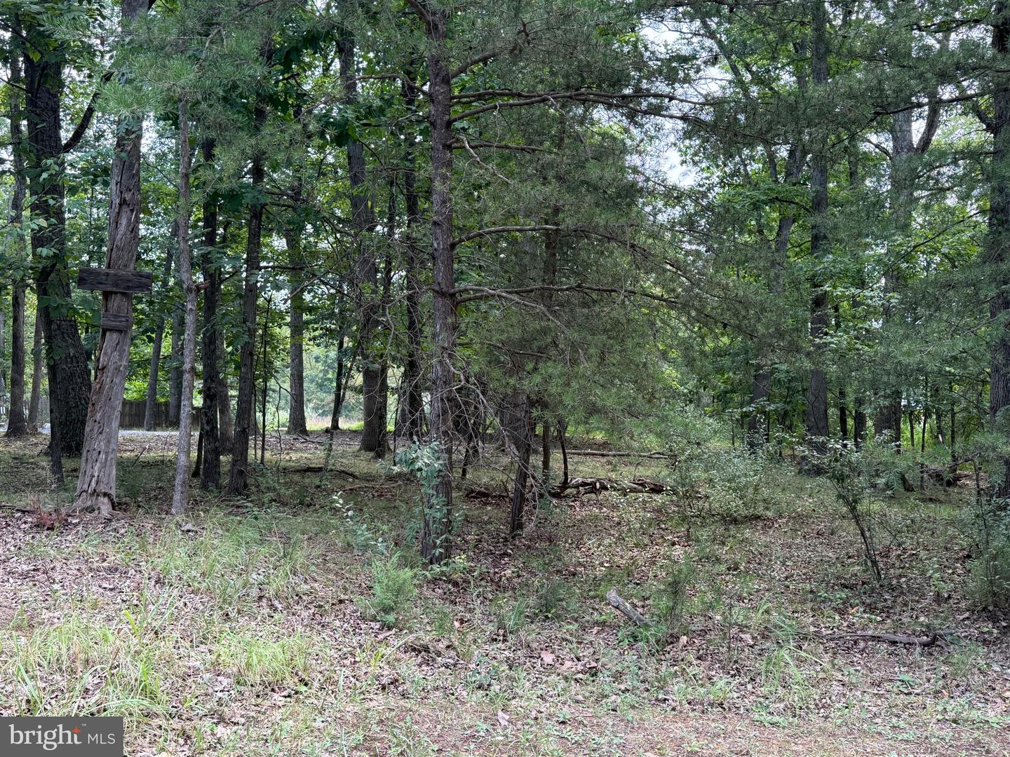 Lot 95 Logger Drive Property Photo 1