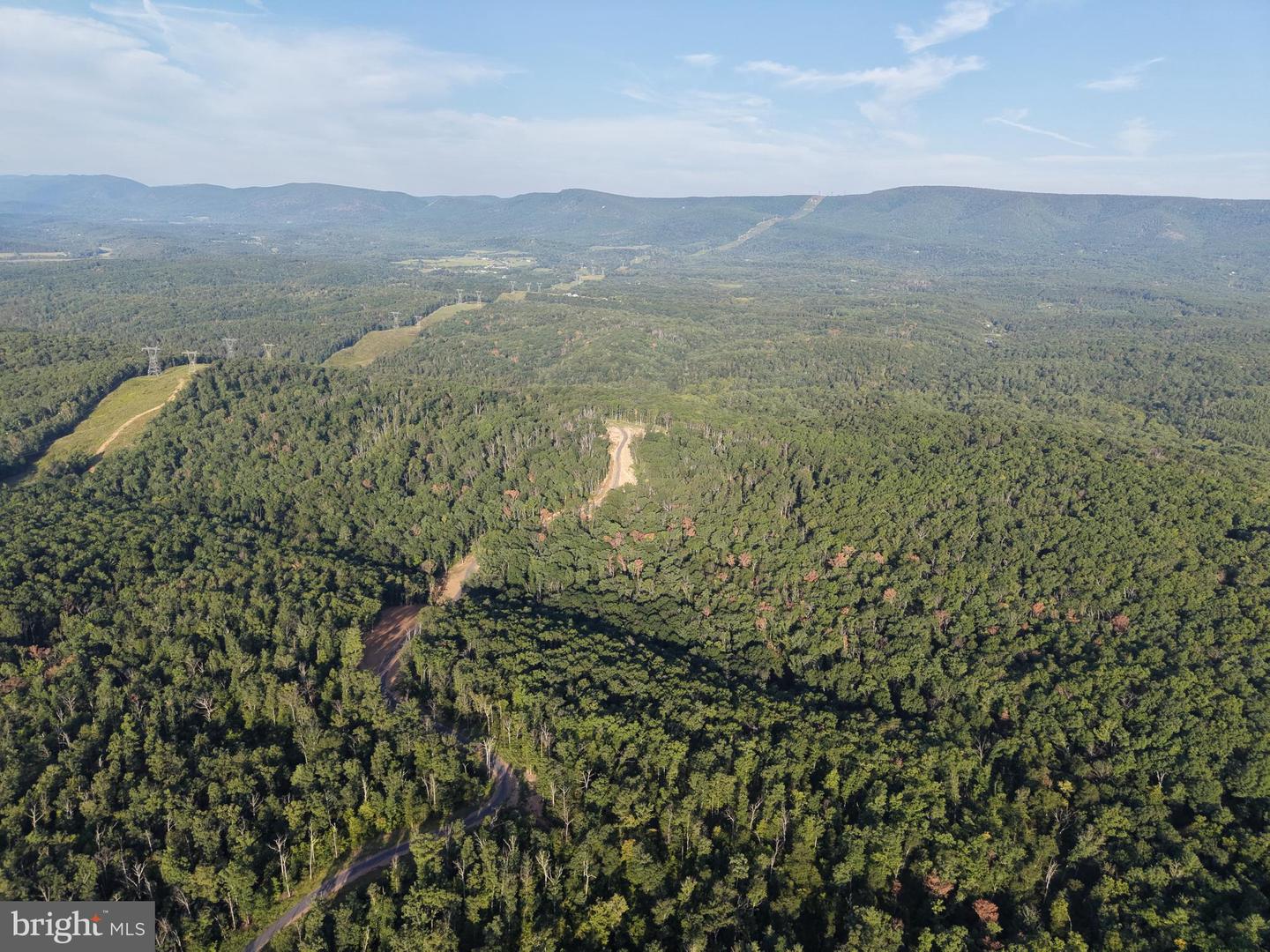Tract 1: 152.44+/- Acres Off Of Laurel Grove Rd Property Photo 1