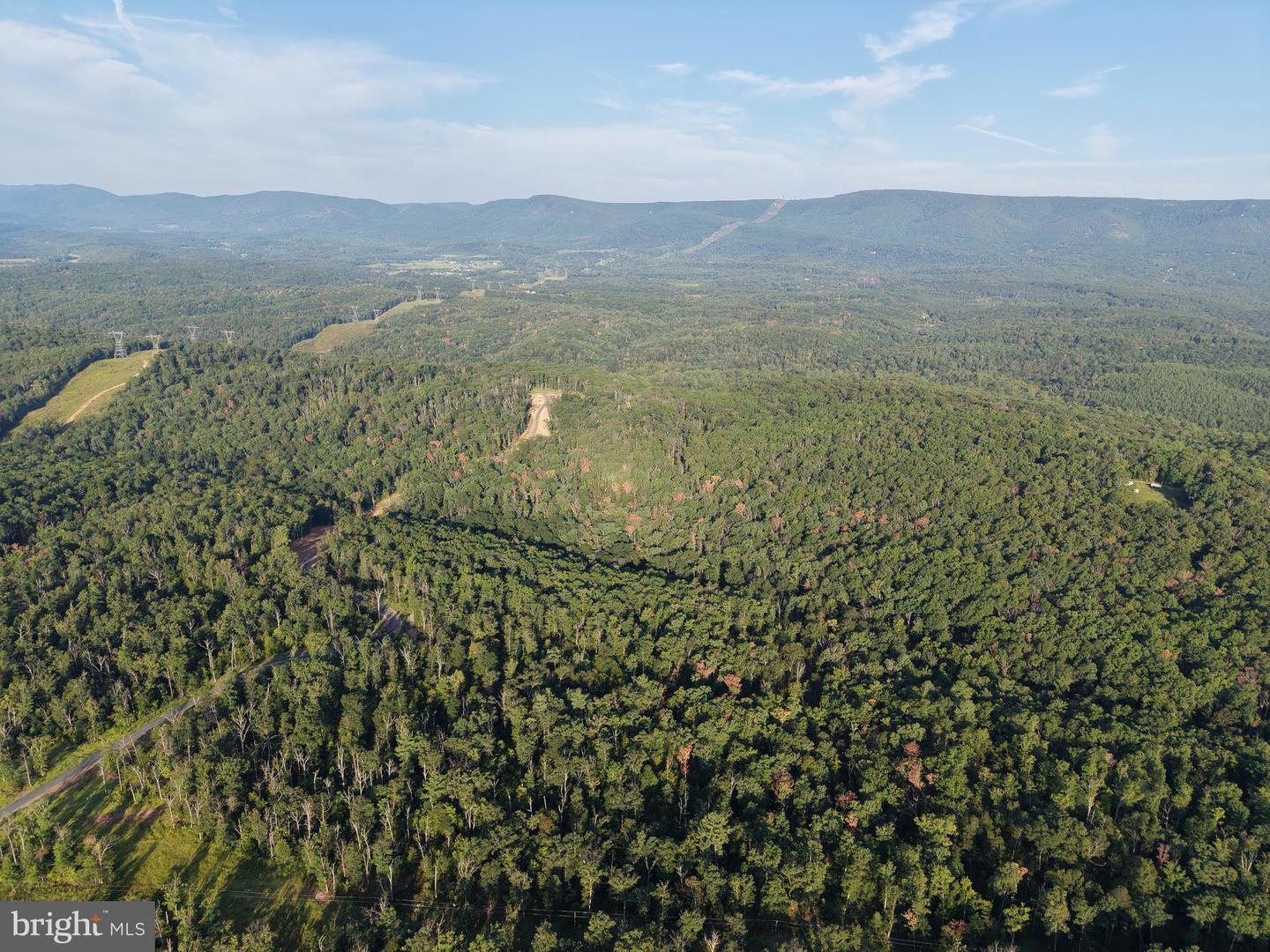 Tract 1: 152.44+/- Acres Off Of Laurel Grove Rd Property Photo 2