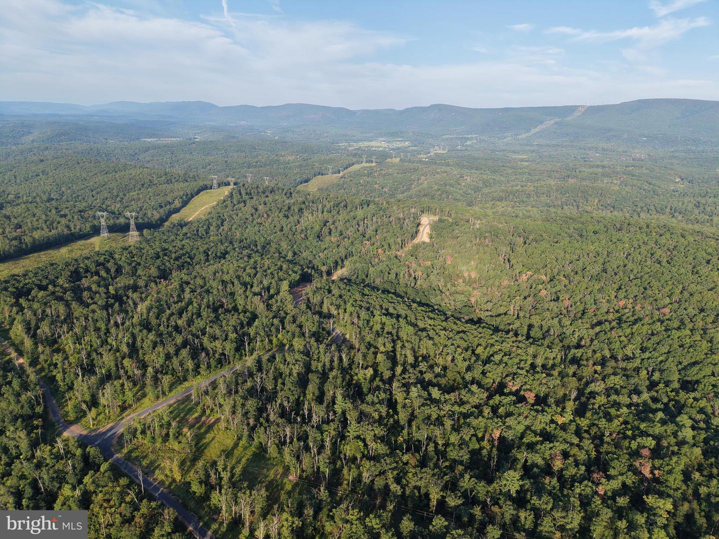 Tract 1: 152.44+/- Acres Off Of Laurel Grove Rd Property Photo 3