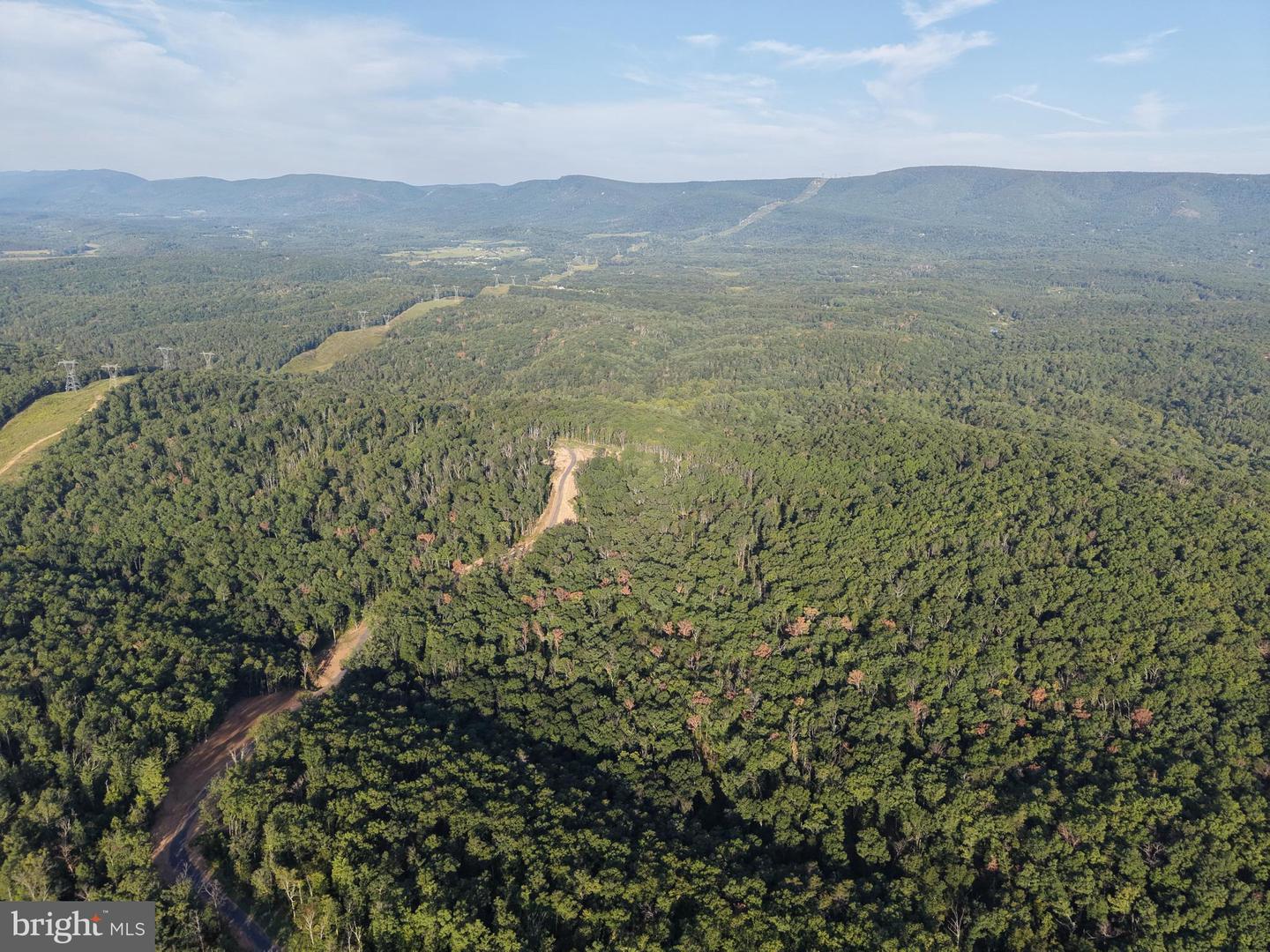 Tract 1: 152.44+/- Acres Off Of Laurel Grove Rd Property Photo 4