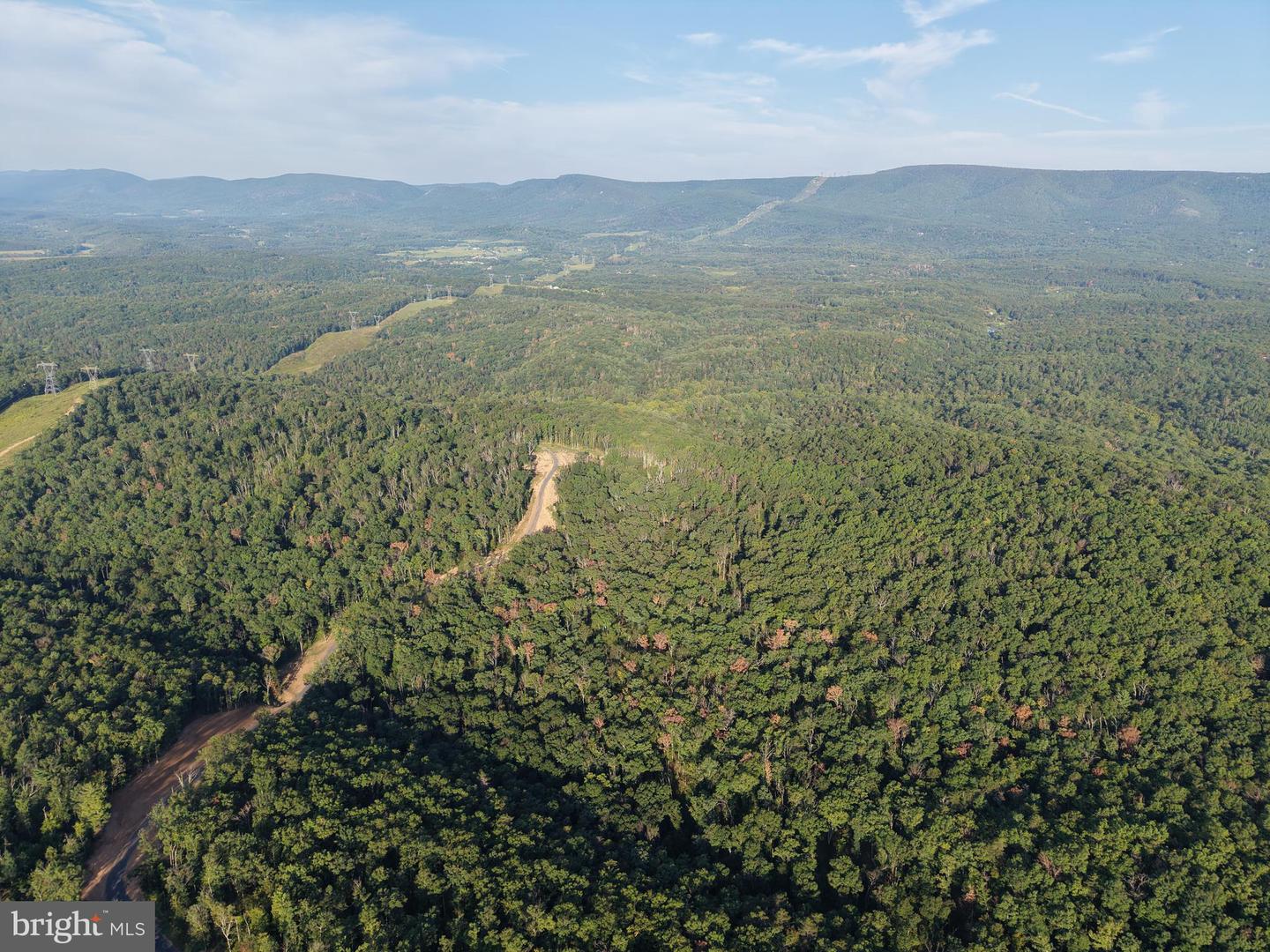 Tract 1: 152.44+/- Acres Off Of Laurel Grove Rd Property Photo 5