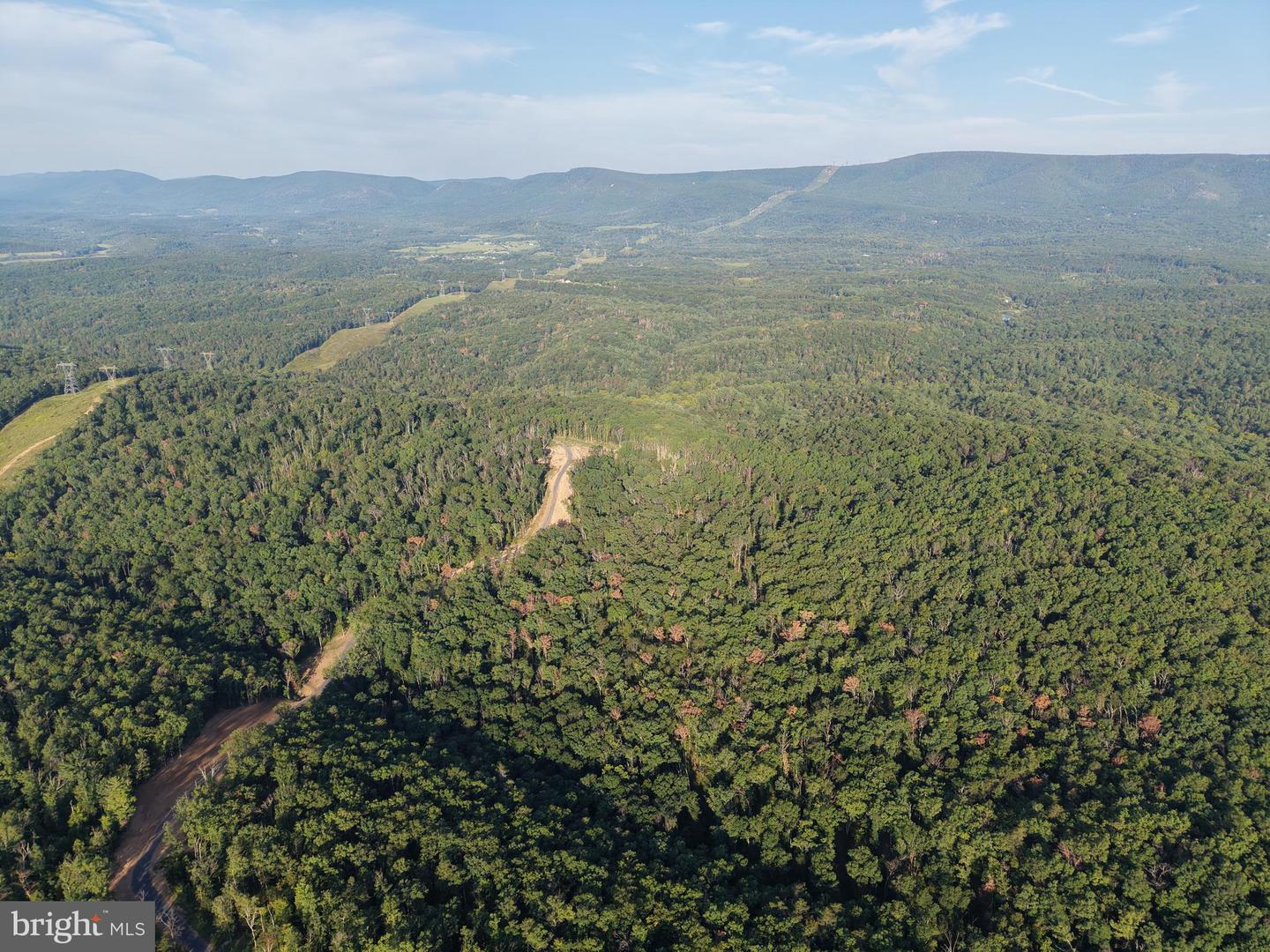 Tract 1: 152.44+/- Acres Off Of Laurel Grove Rd Property Photo 6