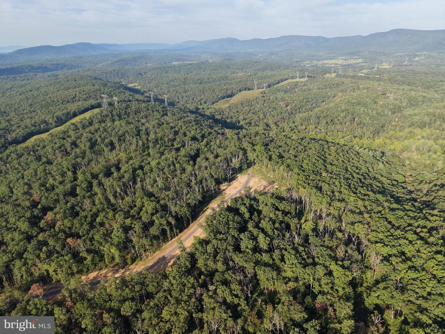 Tract 1: 152.44+/- Acres Off Of Laurel Grove Rd Property Photo 7