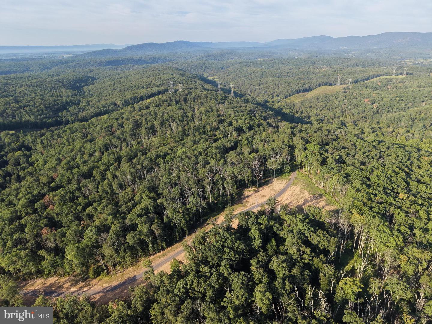 Tract 1: 152.44+/- Acres Off Of Laurel Grove Rd Property Photo 8