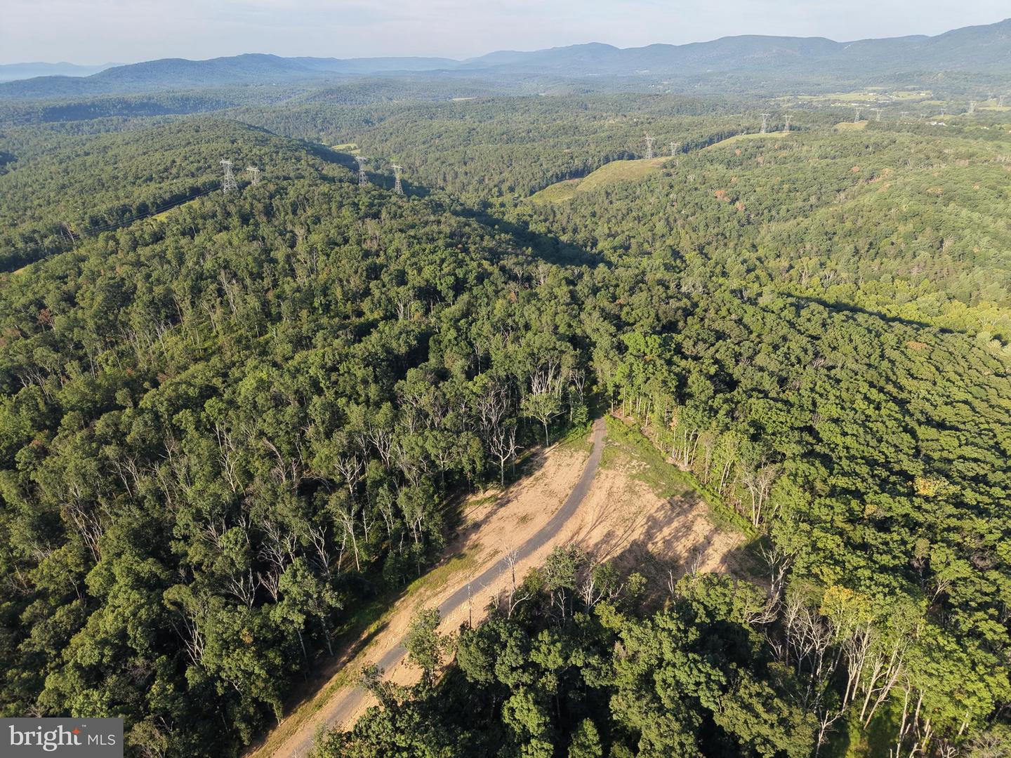 Tract 1: 152.44+/- Acres Off Of Laurel Grove Rd Property Photo 9