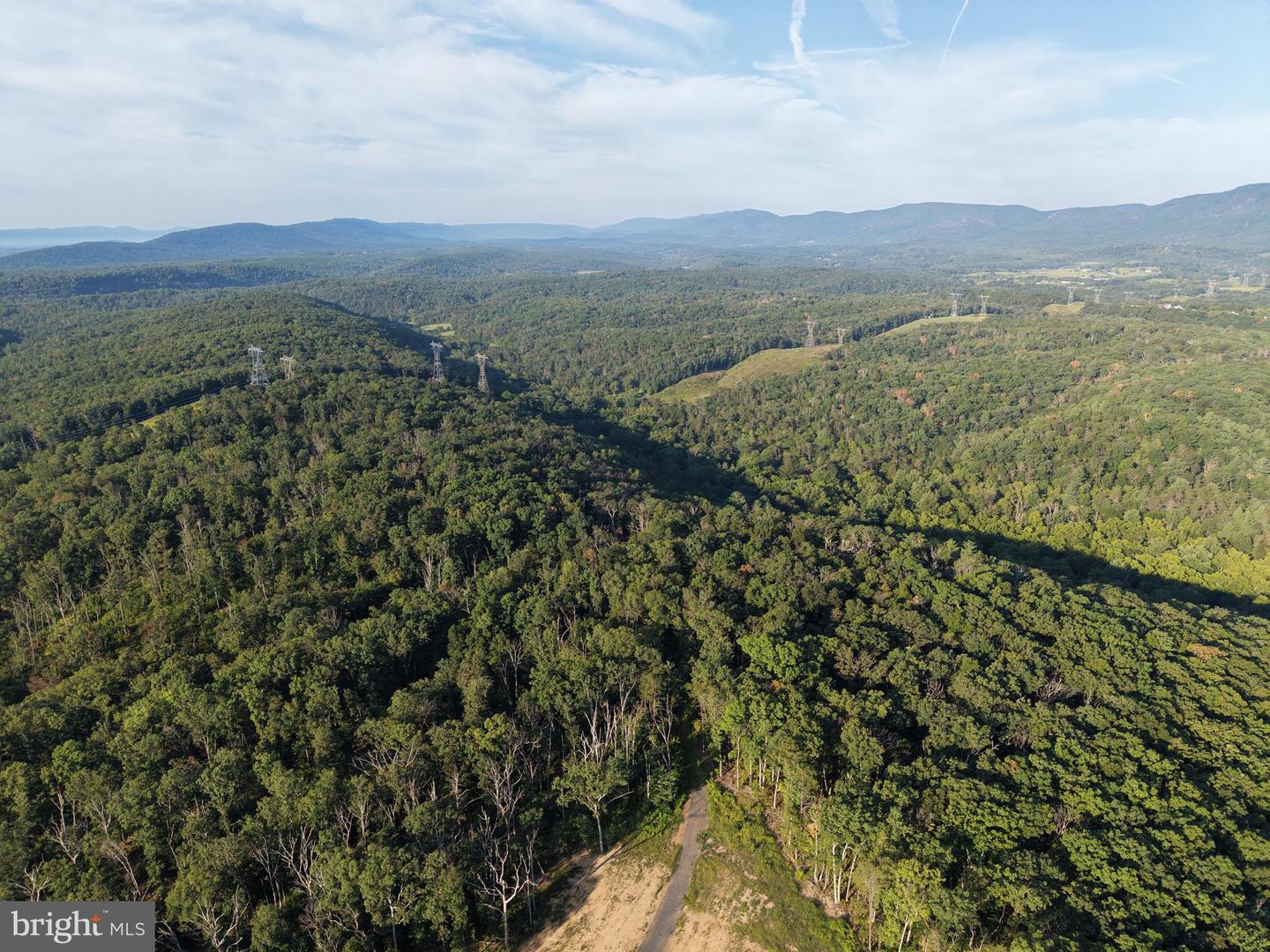 Tract 1: 152.44+/- Acres Off Of Laurel Grove Rd Property Photo 10