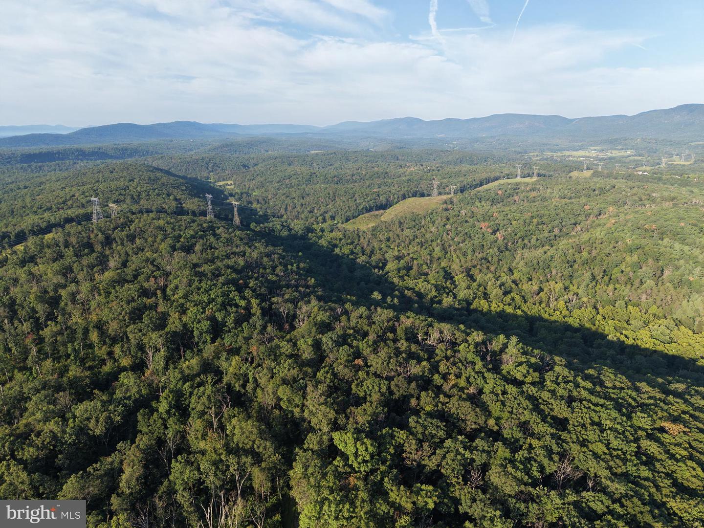 Tract 1: 152.44+/- Acres Off Of Laurel Grove Rd Property Photo 11