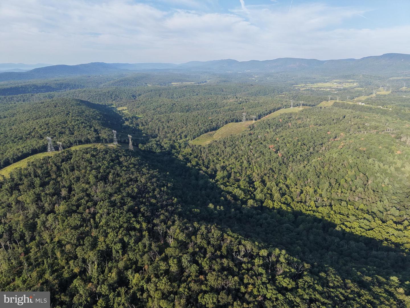 Tract 1: 152.44+/- Acres Off Of Laurel Grove Rd Property Photo 12