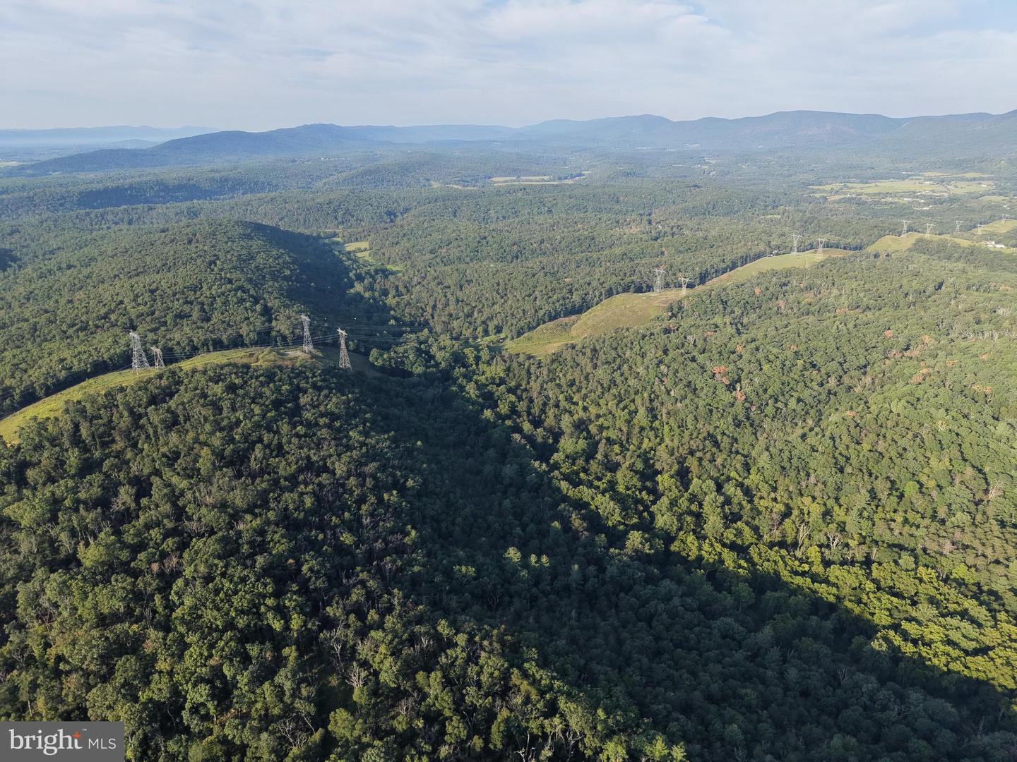 Tract 1: 152.44+/- Acres Off Of Laurel Grove Rd Property Photo 13