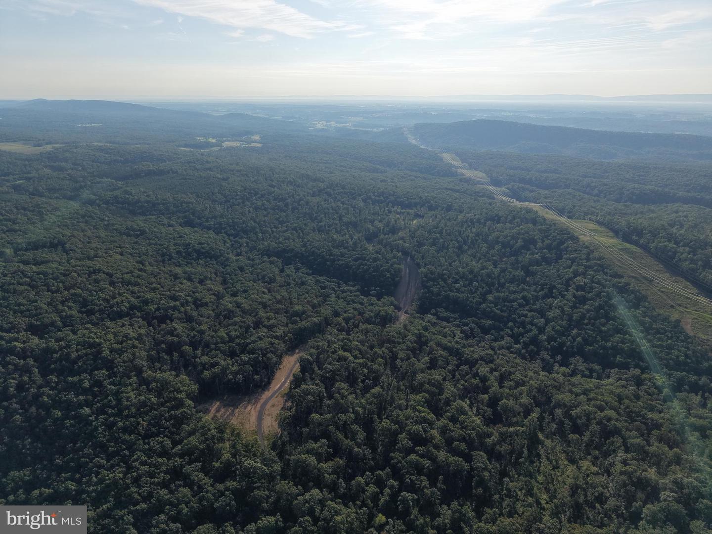 Tract 1: 152.44+/- Acres Off Of Laurel Grove Rd Property Photo 14