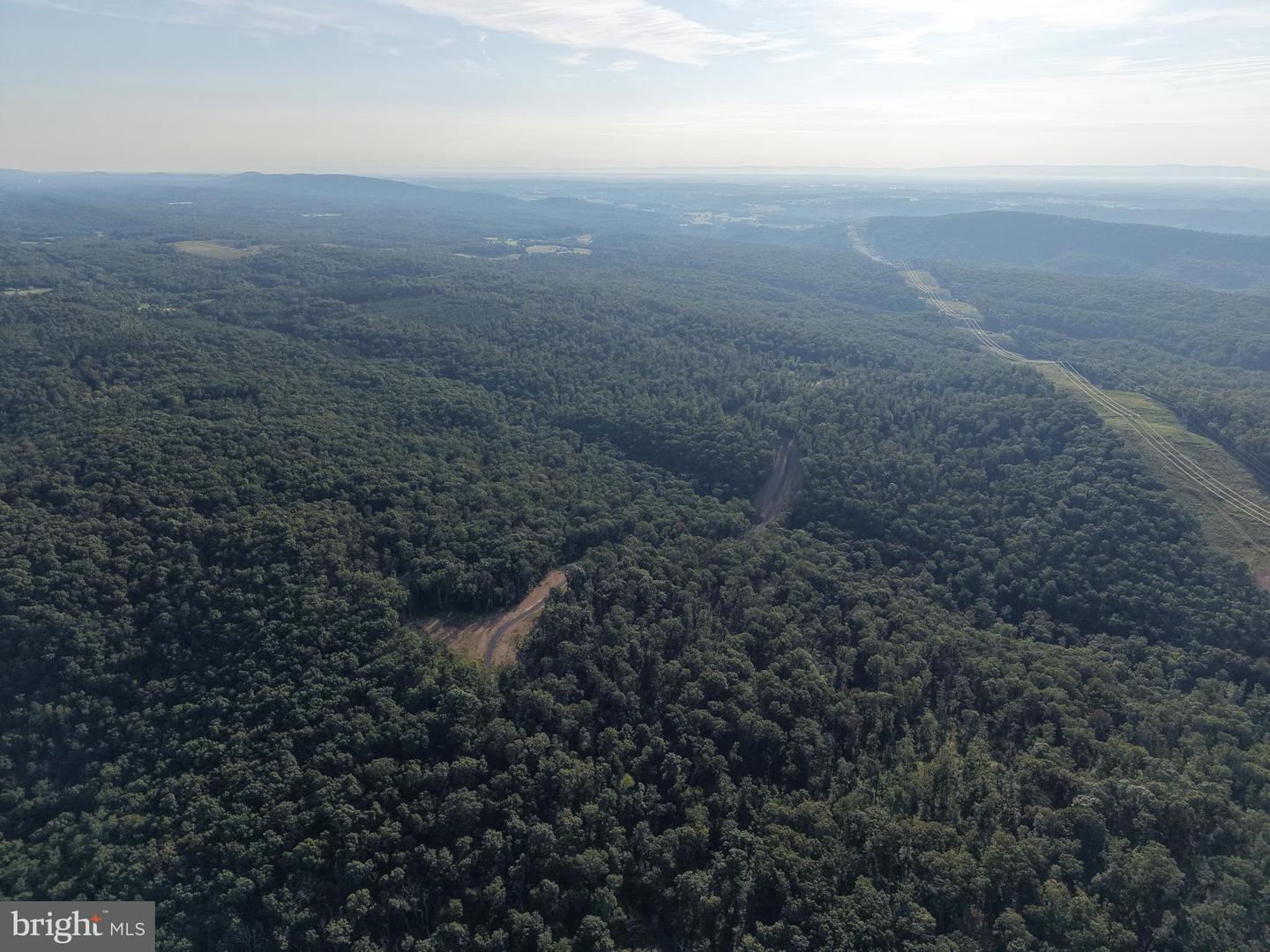 Tract 1: 152.44+/- Acres Off Of Laurel Grove Rd Property Photo 15