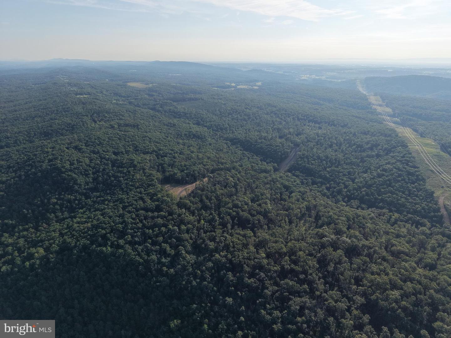 Tract 1: 152.44+/- Acres Off Of Laurel Grove Rd Property Photo 16