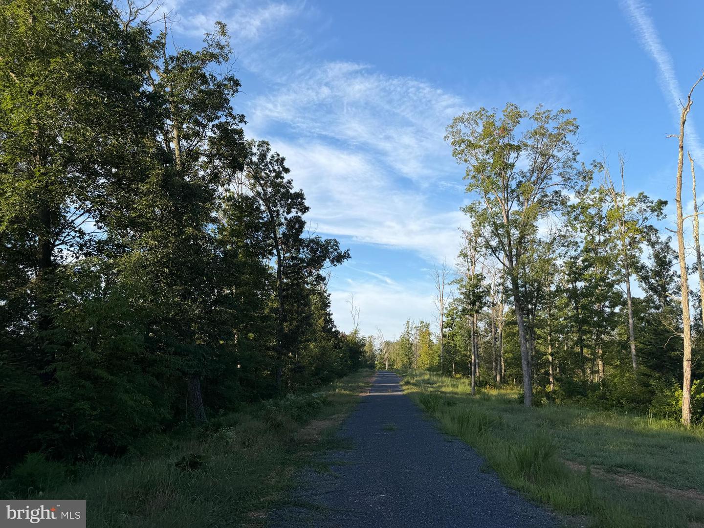 Tract 1: 152.44+/- Acres Off Of Laurel Grove Rd Property Photo 17