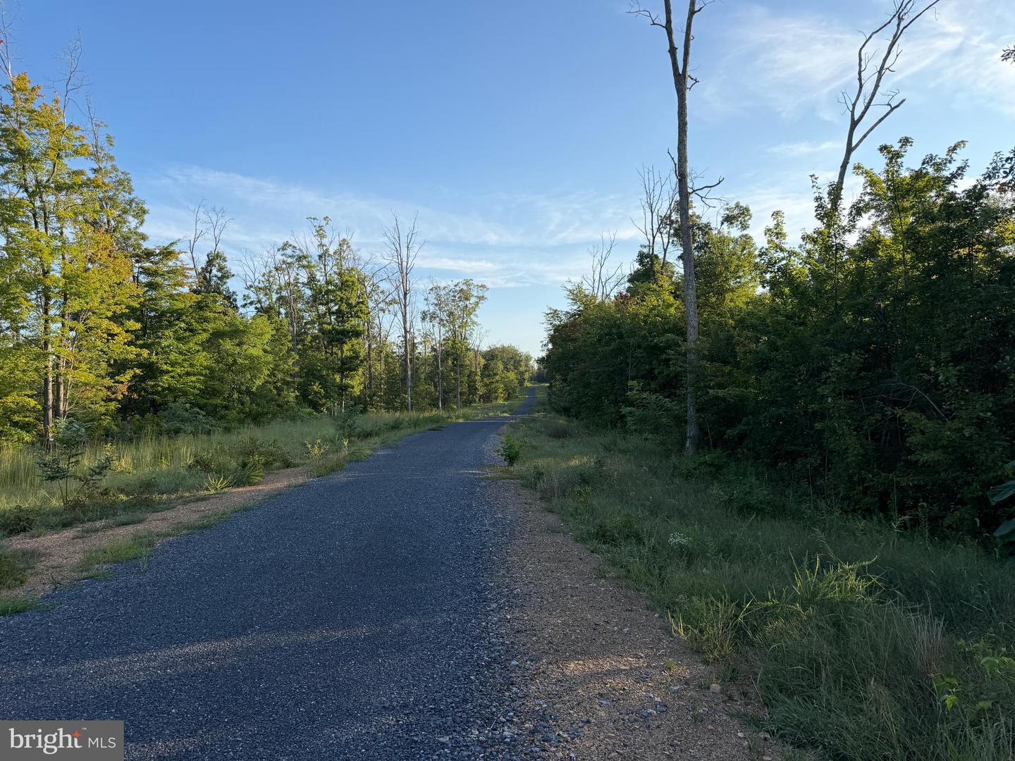 Tract 1: 152.44+/- Acres Off Of Laurel Grove Rd Property Photo 18