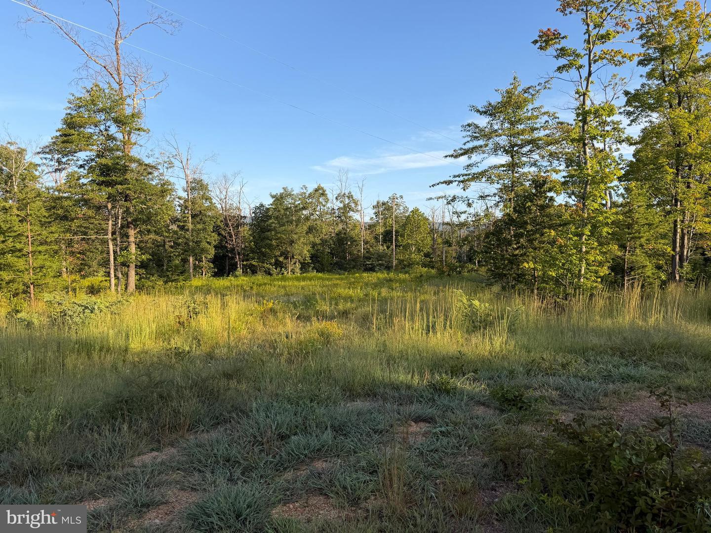 Tract 1: 152.44+/- Acres Off Of Laurel Grove Rd Property Photo 19