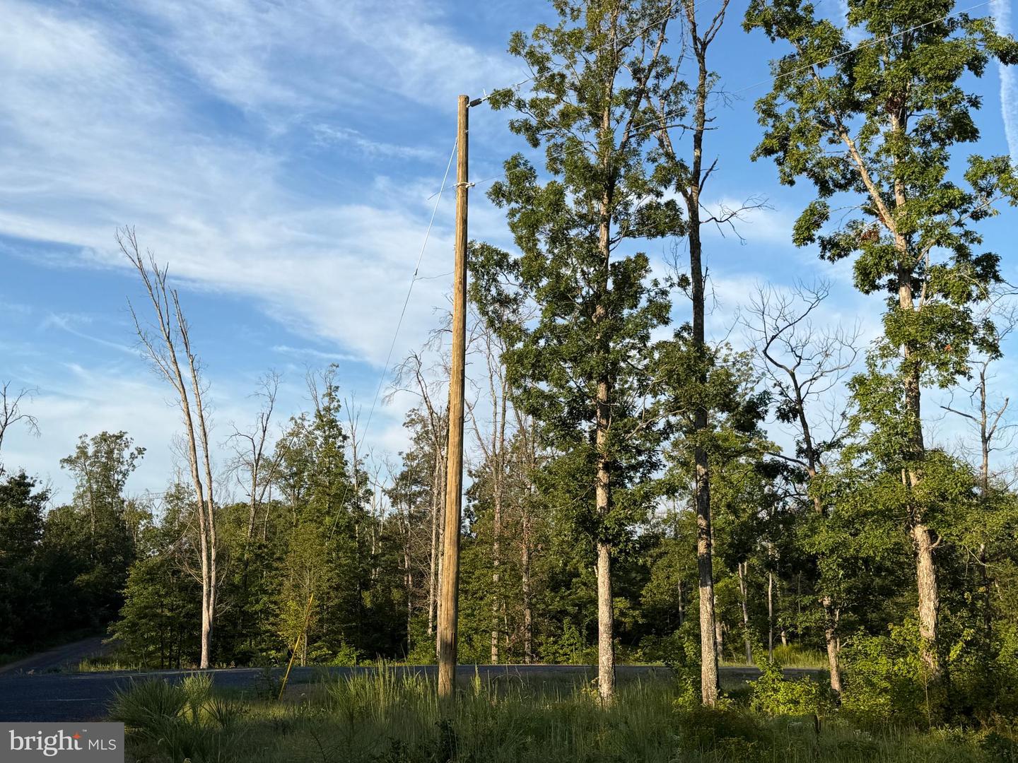 Tract 1: 152.44+/- Acres Off Of Laurel Grove Rd Property Photo 20