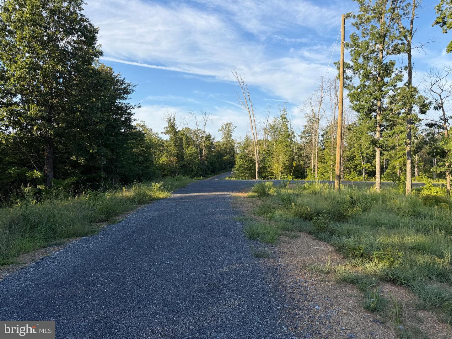 Tract 1: 152.44+/- Acres Off Of Laurel Grove Rd Property Photo 21